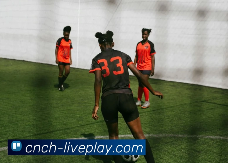 真人游戏官网服务体系